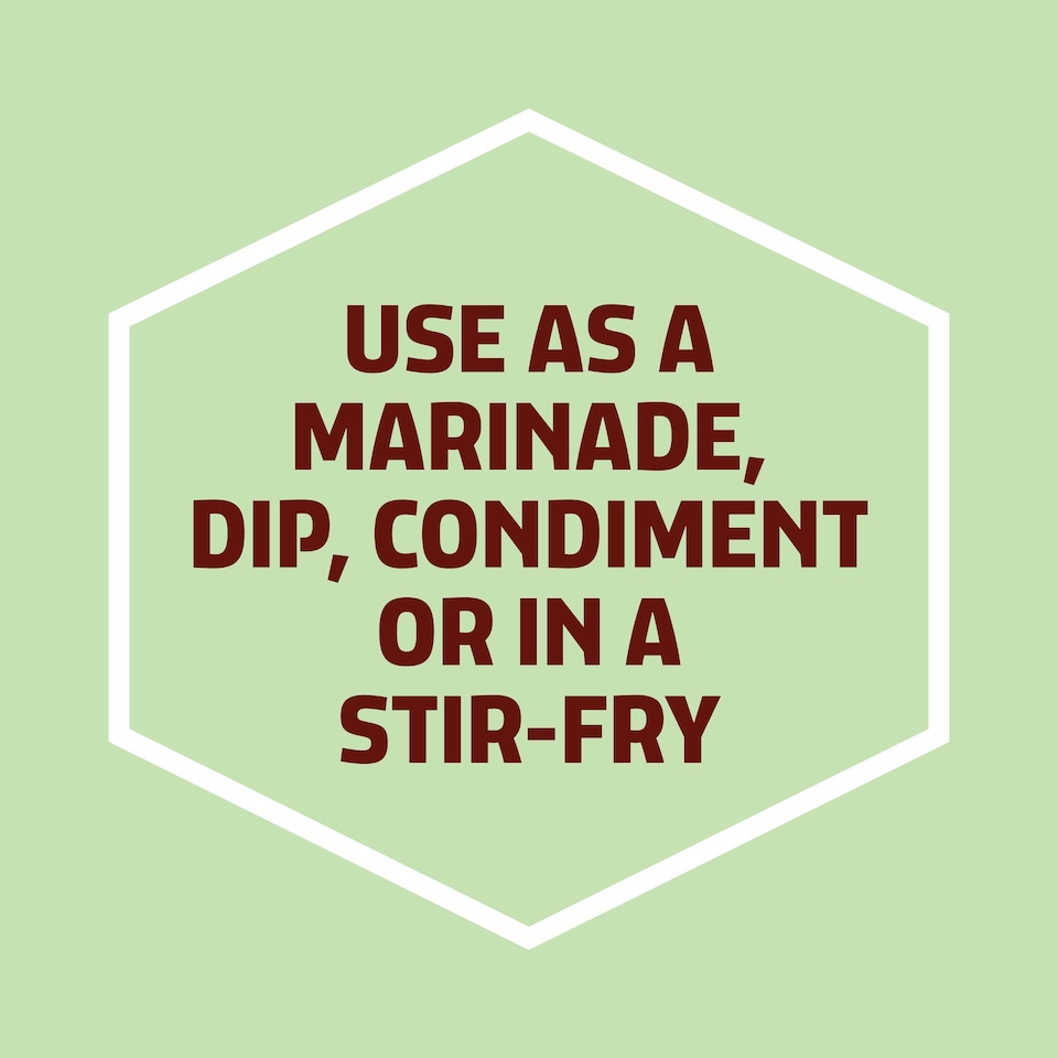 image 1 of Kikkoman Teriyaki Marinade 250Ml