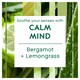 image 2 of Glade Aromatherapy Candle Calm Mind 260G