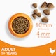 image 4 of Iams Adult 1+ Cat Food With Fresh Chicken 2Kg