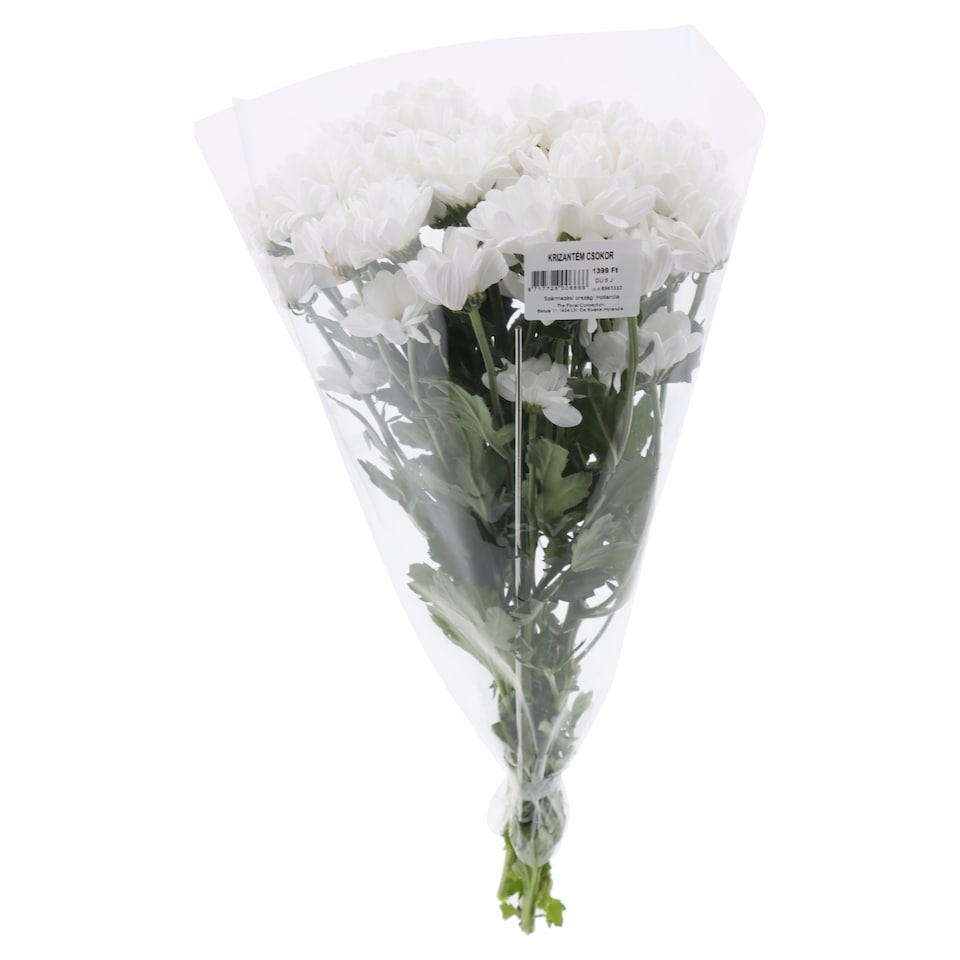 image 1 of The Floral Connection Chrysanthemum Bouquet