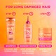 image 2 of L'Oreal Elvive Dream Lengths Shampoo 250ml