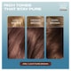 image 2 of Clairol Nice'N Easy Crème Pure Brunettes Permanent Hair Dye Kit - 6PB Light Hazelnut Brown