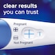 image 2 of Fast Clearblue Plus Visual Pregnancy Test 1Ct