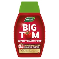 Westland Big Tom Tomato Plant Feed 1L