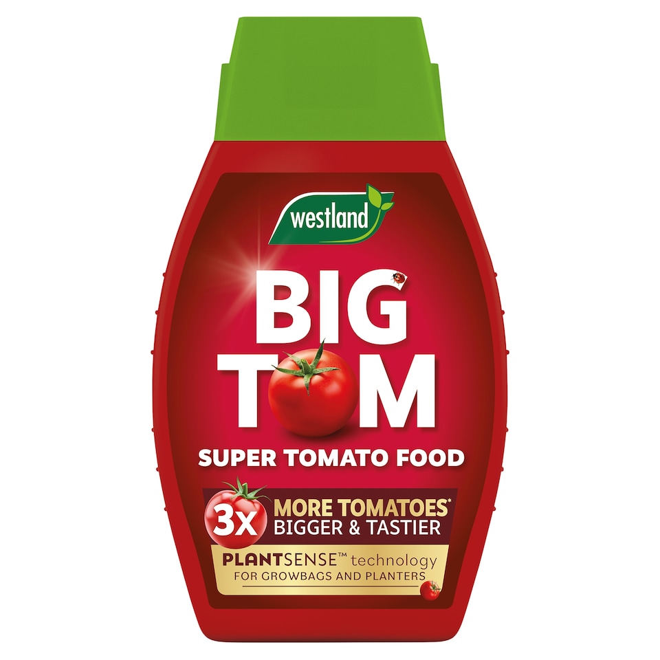 Westland Big Tom Tomato Plant Feed 1L