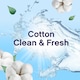 image 2 of Lenor Fabric Conditioner Cotton Clean & Fresh 55 Washes 1.815L