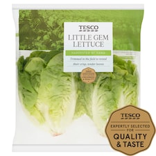 Tesco Little Gem Lettuce Twin Pack