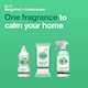 image 3 of INEOS Antibac Multi-Room Spray Bergamot + Cedarwood 750ml