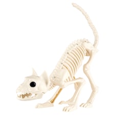 Rayland Halloween Skeleton Cat