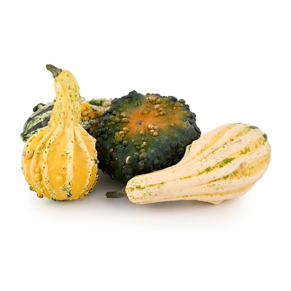 Tesco Large Decorative Pumpkin