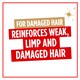 image 2 of L'oreal Elvive Full Restore 5 Shampoo 400ml