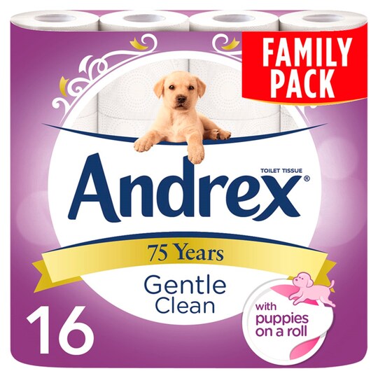 Andrex Gentle Clean 16Roll Tesco Groceries