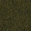 Olive - Selected