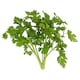 image 2 of Tesco Fresh Cut Flat Leaf Parsley 30G
