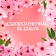Lenor  Textilöblítő 32 Mosáshoz, Cherry Blossom & Sage  2. kép