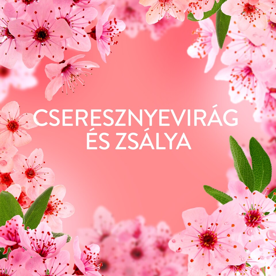 Lenor Textilöblítő 32 Mosáshoz, Cherry Blossom & Sage 1. kép