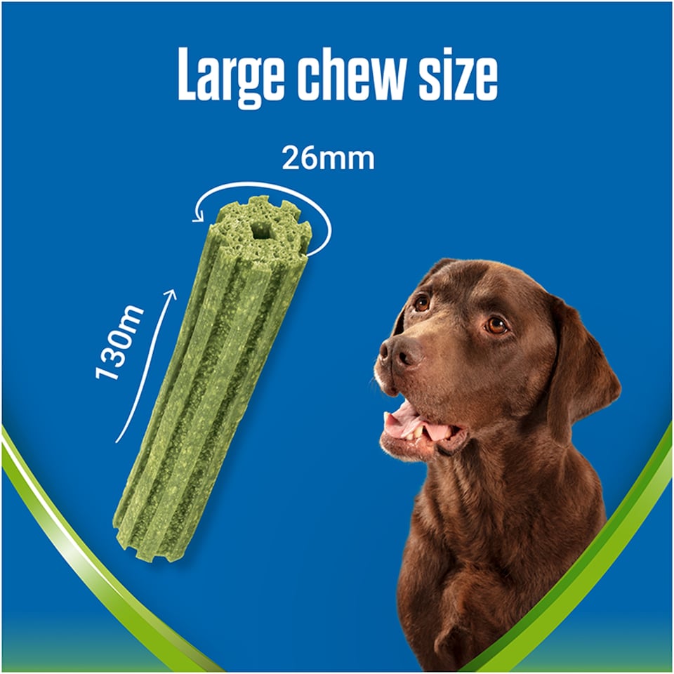 image 1 of Dentalife Activfresh 4 Large Dog Sticks 142G