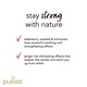 image 2 of Pukka Elderberry & Echinacea Organic 20 Tea Bags 40G
