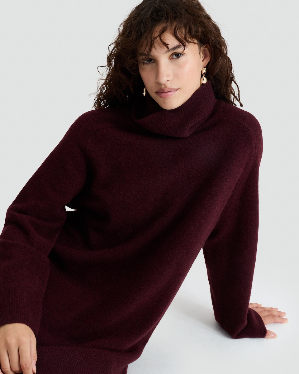 image 1 of F&F Knitted Roll Neck Jumper Dress with Wool in Burgundy
