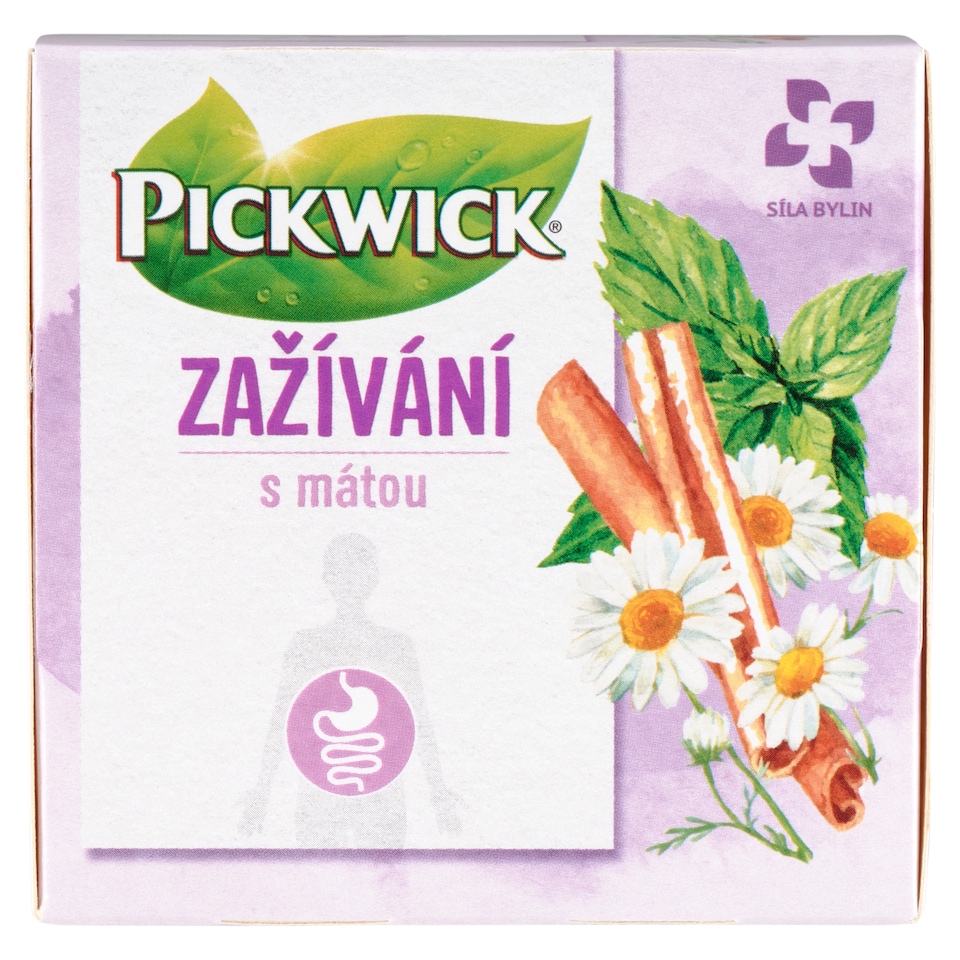 Obrázek 1 pro produkt Pickwick Zažívání s mátou 10 x 2g (20g)