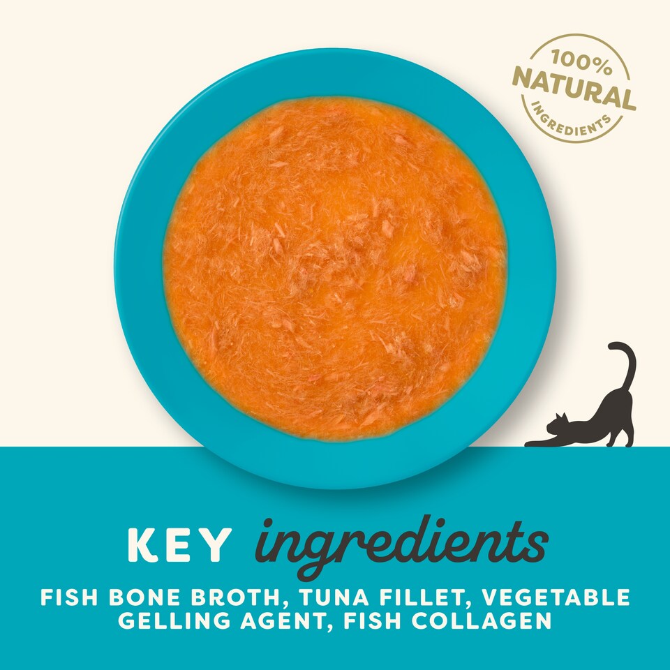 image 1 of Applaws Natural Wet Cat Food Fish Bone Broth with Tuna Fillet Spout Pouch 85g