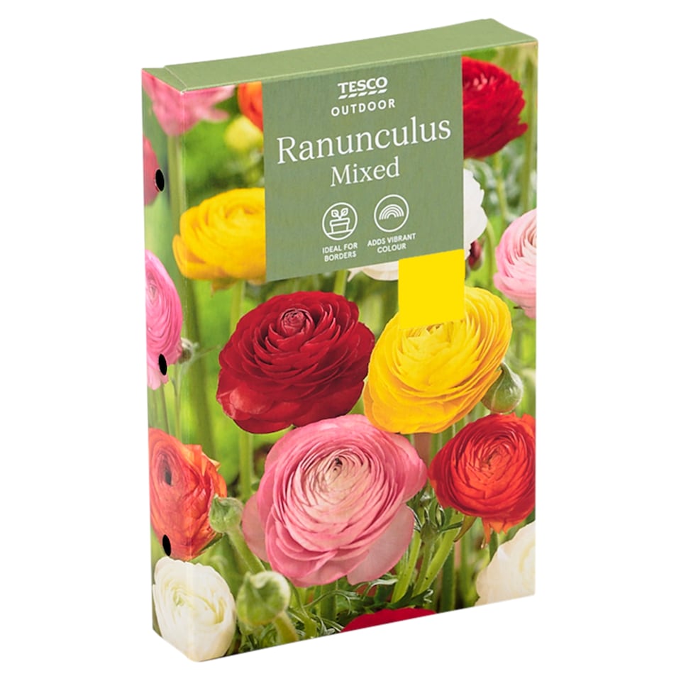 Tesco Ranunculus Mixed