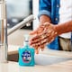 image 3 of CAREX LIQUID HANDWASH JULIA DONALDSON'S 'ROOM ON THE BROOM' 250ML