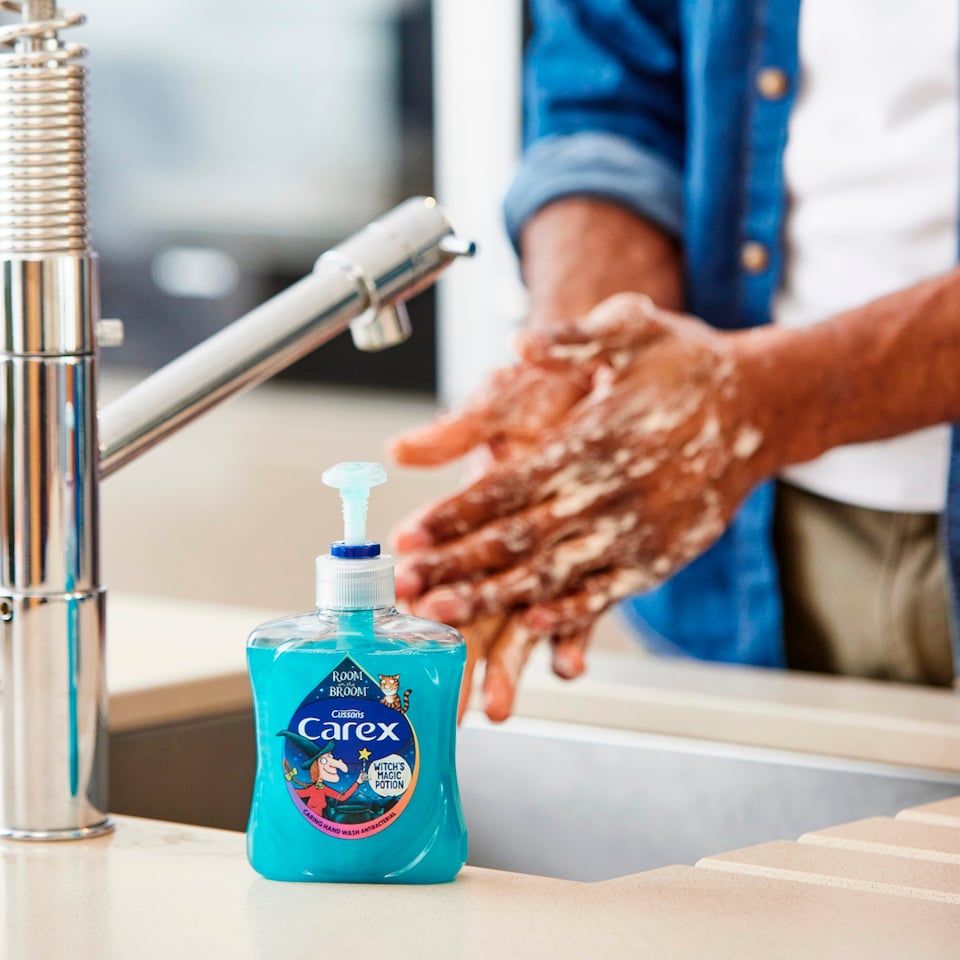 image 1 of CAREX LIQUID HANDWASH JULIA DONALDSON'S 'ROOM ON THE BROOM' 250ML