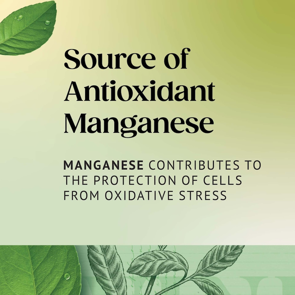 image 1 of Twinings Green Tea 20 Tea Bags 50G