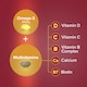 image 5 of Seven Seas Omega-3 & Multivitamins Women 50+ Duo Pack 60s