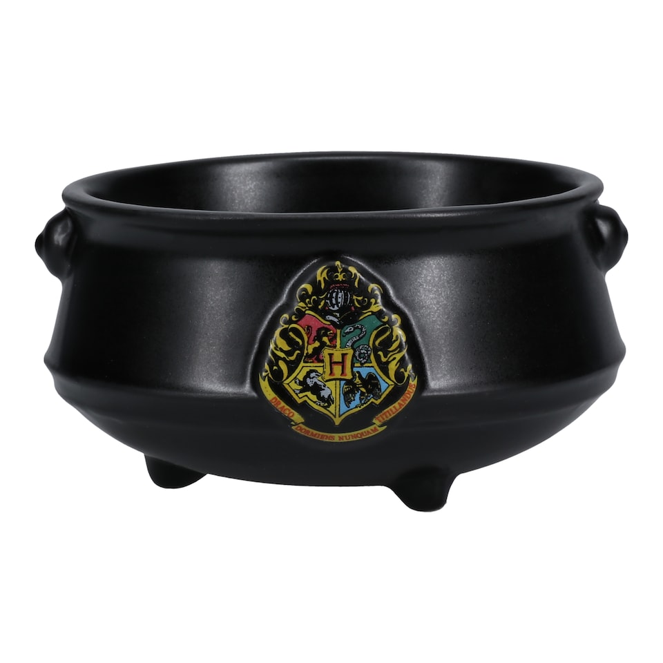 image 1 of Harry Potter Cauldron Pet Bowl