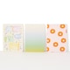 image 2 of Paperchase Cats A5 Notebooks 3pk
