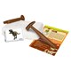 Obrázek 2 pro produkt Clementoni Science & Play Archeofun Tyrannosaurus Rex