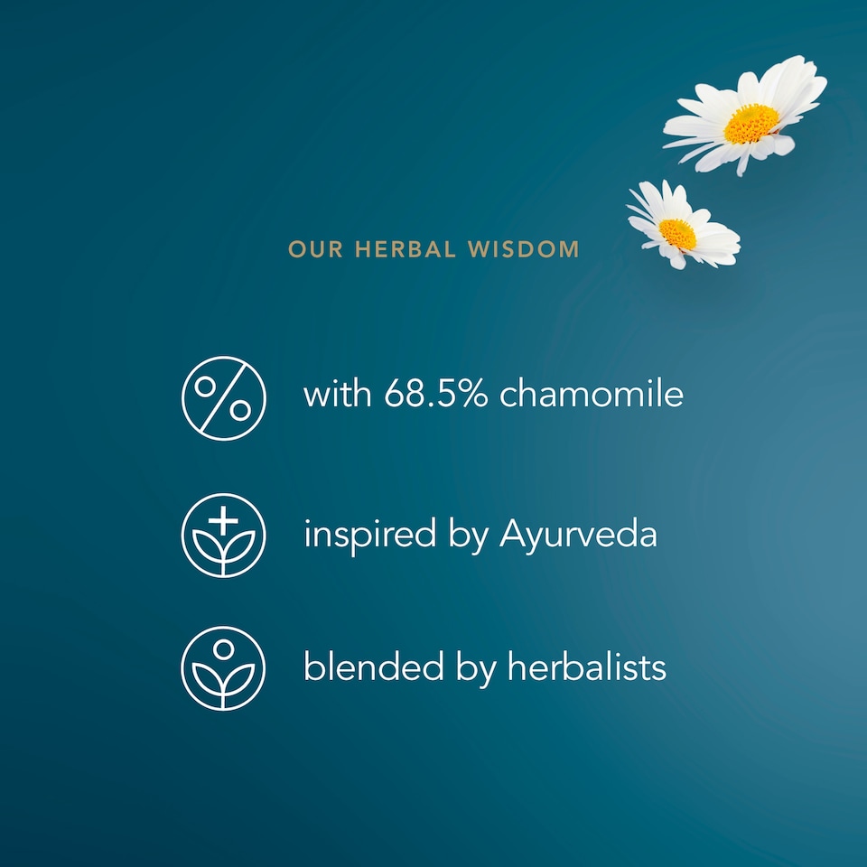 image 1 of Pukka Organic Chamomile, Vanilla & Manuka Honey Tea 20 Herbal Tea Bags 32g