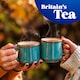 image 3 of Tetley Herbal Fresh Mint 20 Tea Bags 32G
