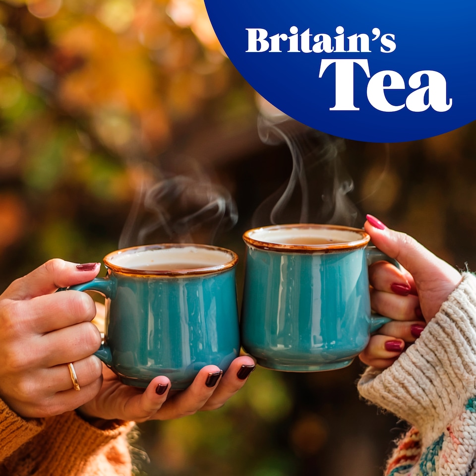 image 1 of Tetley Herbal Fresh Mint 20 Tea Bags 32G
