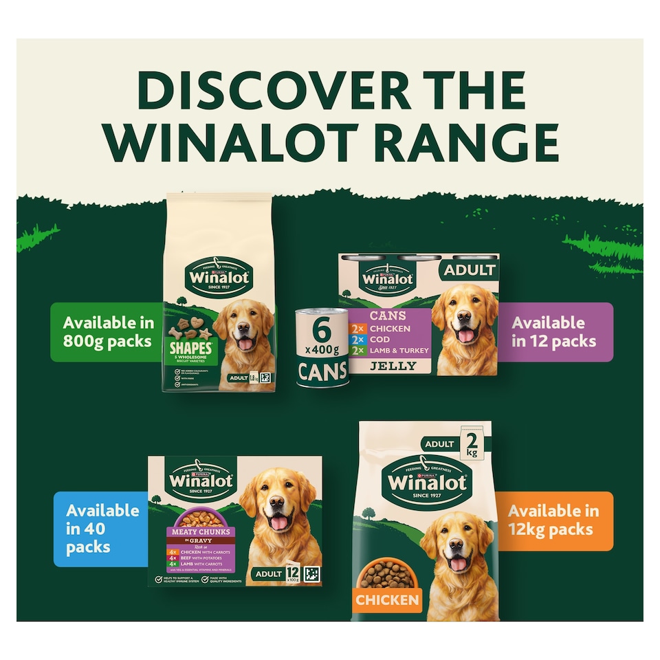 image 1 of WINALOT Monday Meaty Casseroles Chicken, Turkey, Duck in Gravy Wet Dog Food 12 x 85g