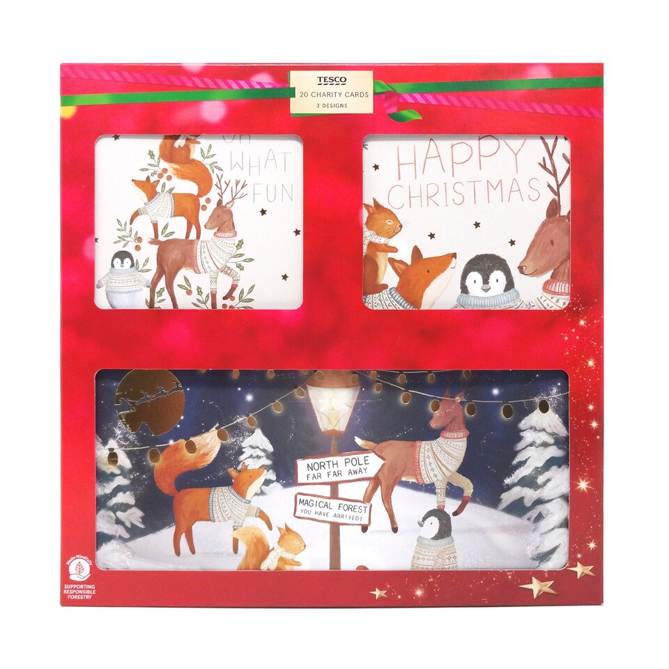 image 1 of Tesco Cosy Christmas Cards 20 Pack