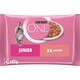 obrázok 2 z Purina ONE Junior kapsičky pre mačiatka losos v šťave 4 × 85 g