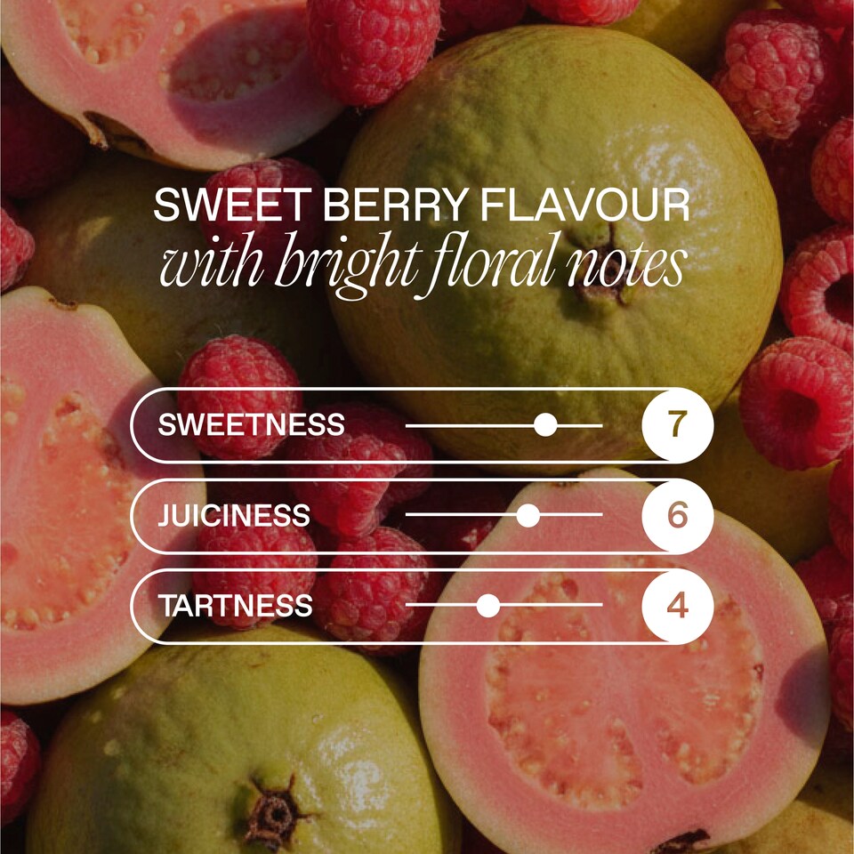 image 1 of Goodrays CBD Raspberry & Guava Drink 4 x 330ml