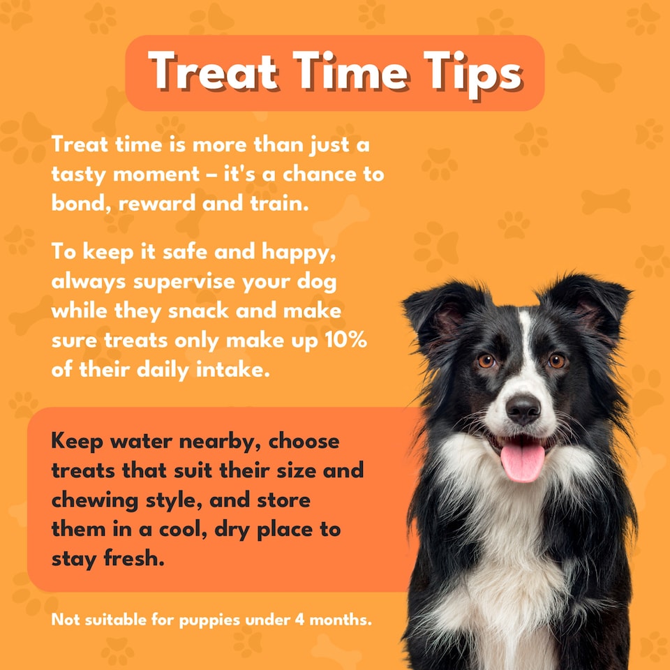image 1 of Pet Munchies 100% Natural Dog Treats Duck Training Treats 50g