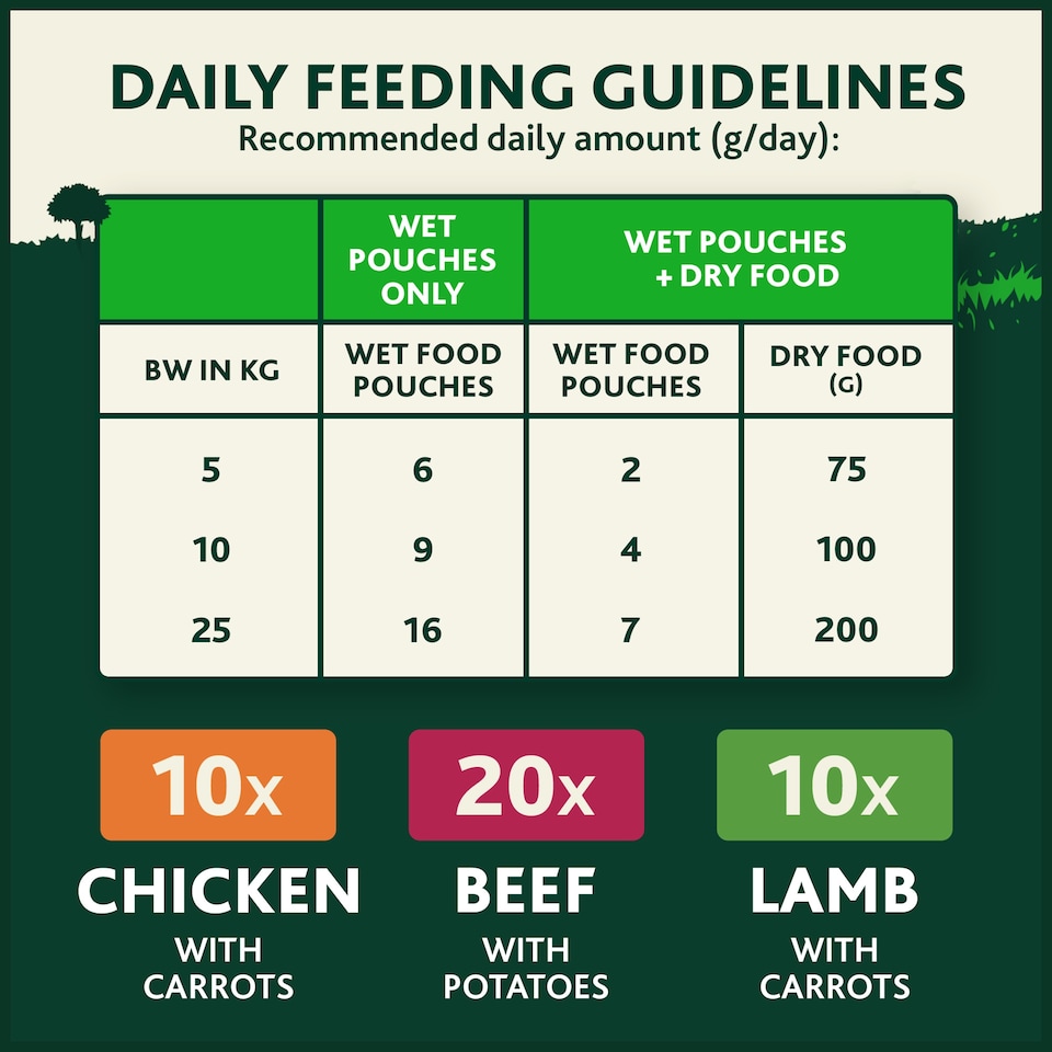 image 1 of WINALOT Meaty Chunks Mixed in Gravy Wet Dog Food 40x100g