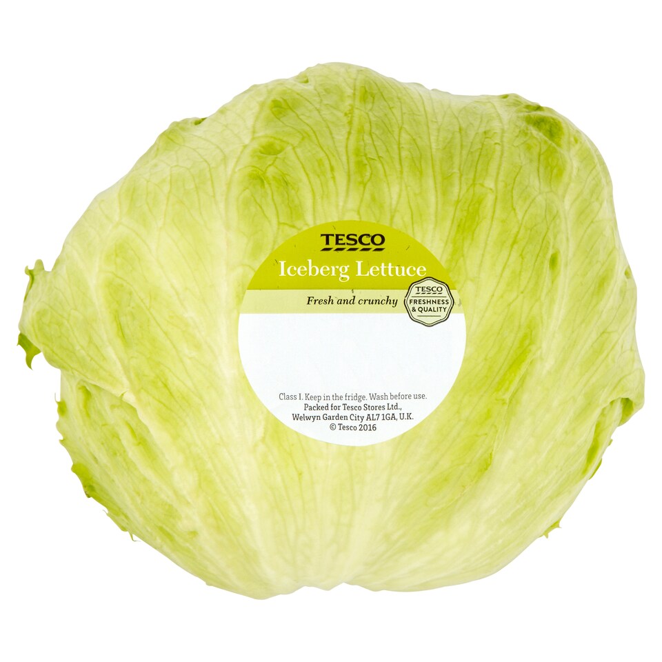 Tesco Iceberg Lettuce Each (C)