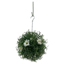 Bayswood Daisy Hanging Ball