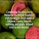 image 3 of Goodrays Natural Cbd Raspberry & Guava Drink 4 X 250Ml