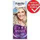 Palette Intensive Color Creme hajfesték 10-1 (C10) Sarki ezüstszőke  1. kép
