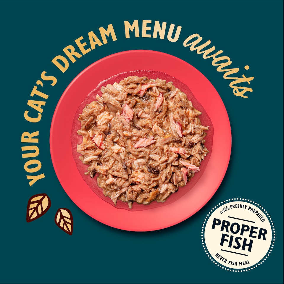 image 1 of Lily's Kitchen Cat Shredded Fillets Tuna & Salmon 70G