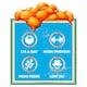 image 3 of Heinz No Added Sugar Baked Beanz 4 x 415g