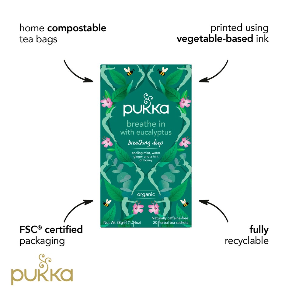 image 1 of Pukka Breathe In Eucalyptus Organic Tea 20 Sachts 38G
