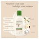 image 5 of Aveeno Daily Moisturising Lotion Cocoa Butter Vanilla Scent 300ml